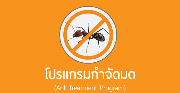 บริการกำจัดมด