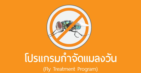 บริการกำจัด แมลงวัน