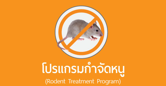 บริการกำจัดหนู